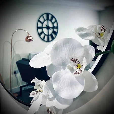 Seaview Luxury 레드카